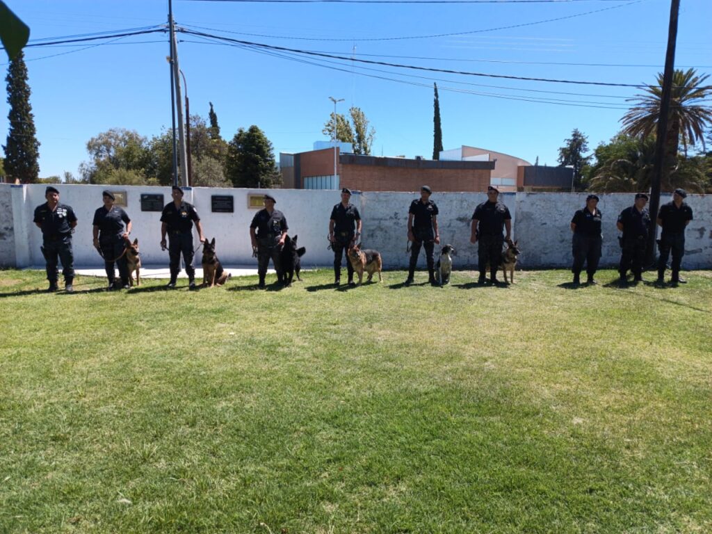 WhatsApp Image 2024-12-23 at 11.56.51