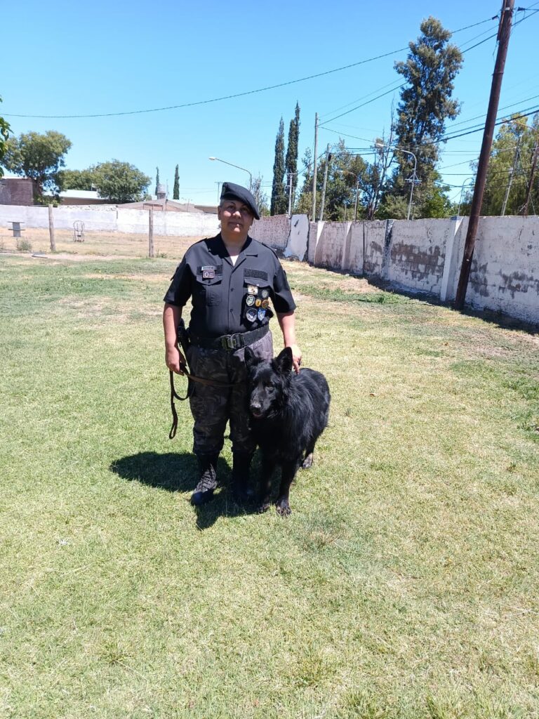 WhatsApp Image 2024-12-23 at 12.06.50