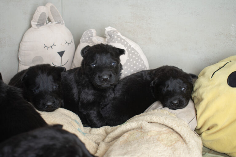 DSC_3329-Mejorado-NR