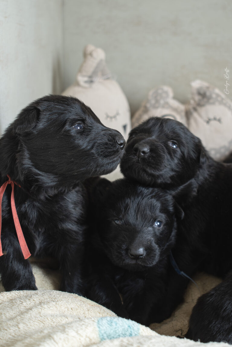 DSC_3337-Mejorado-NR