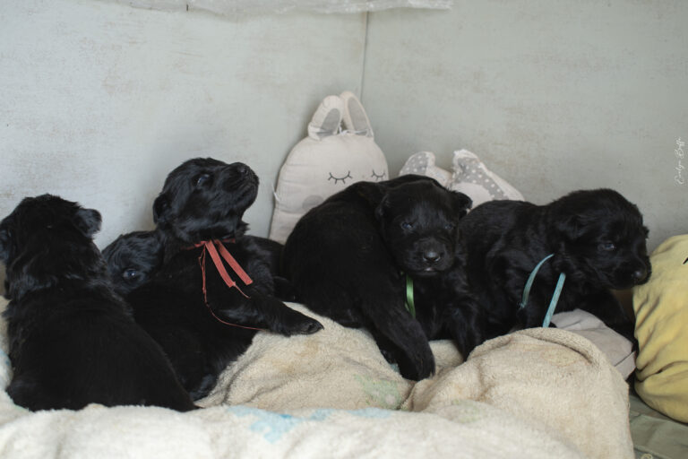 DSC_3349-Mejorado-NR