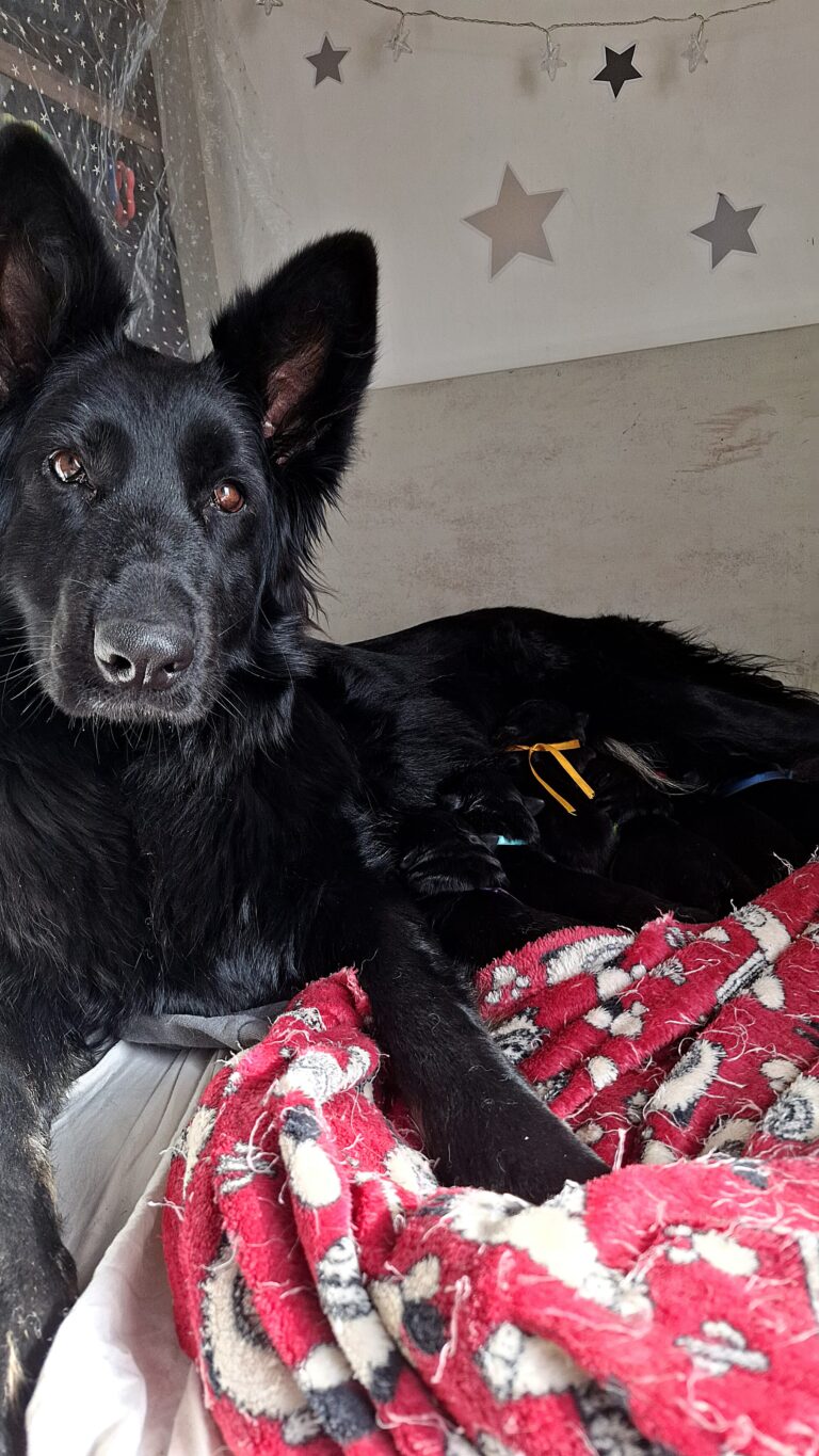 WhatsApp Image 2025-06-15 at 10.52.12