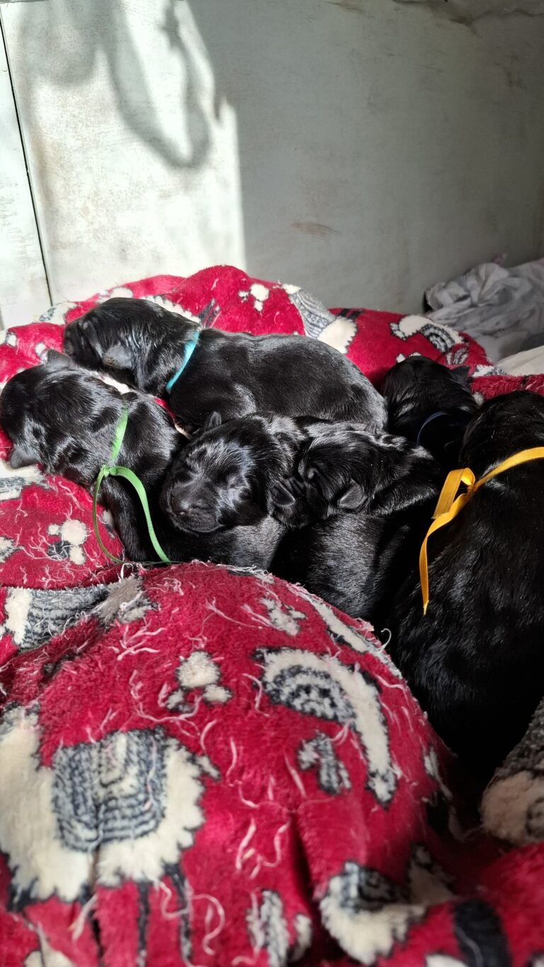 WhatsApp Image 2025-06-15 at 10.52.27