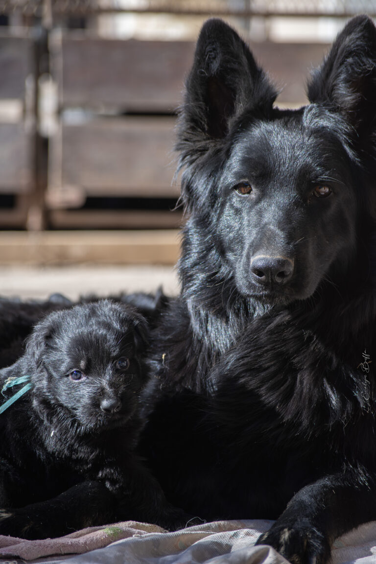 DSC_3708-Mejorado-NR