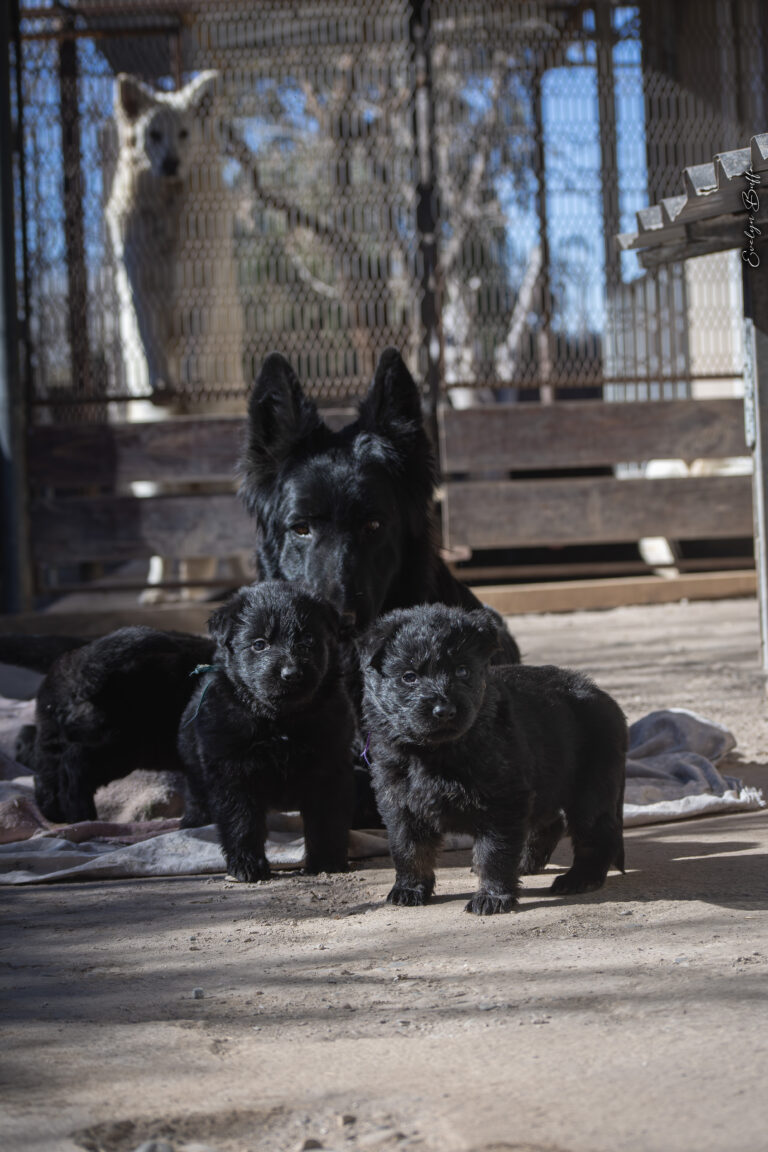 DSC_3713-Mejorado-NR