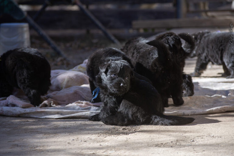 DSC_3716-Mejorado-NR