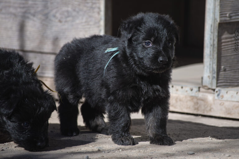 DSC_3719-Mejorado-NR