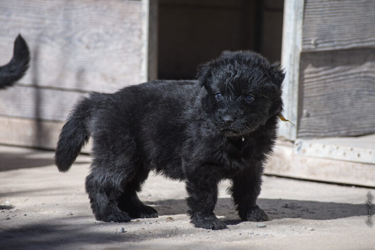 DSC_3722-Mejorado-NR