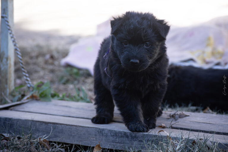 DSC_3732-Mejorado-NR