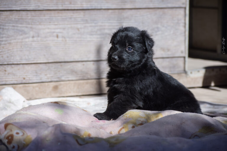 DSC_3734-Mejorado-NR