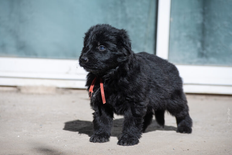 DSC_3742-Mejorado-NR