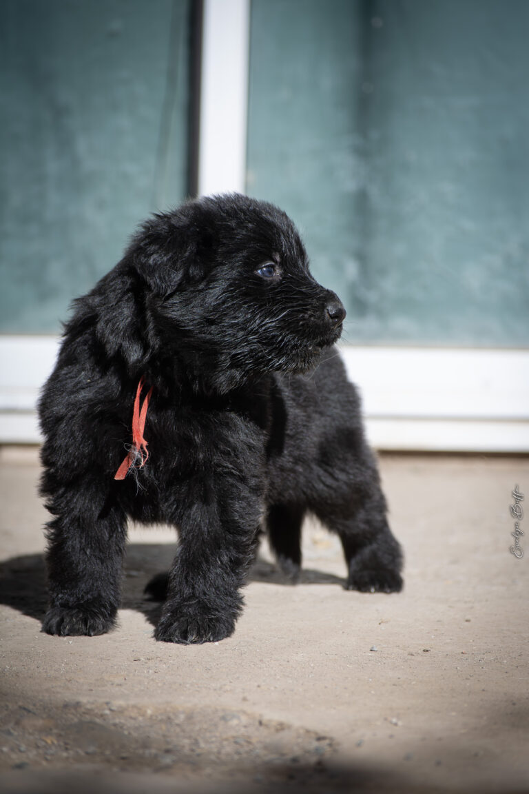 DSC_3744-Mejorado-NR