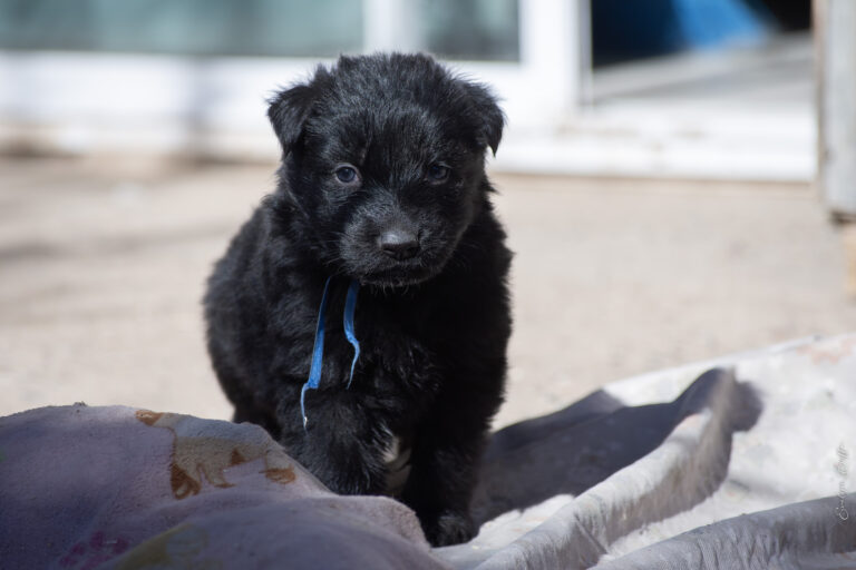 DSC_3747-Mejorado-NR