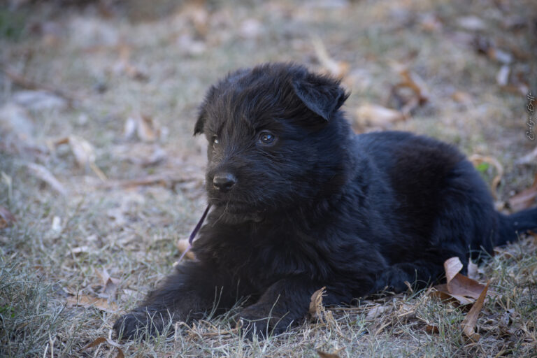 DSC_3750-Mejorado-NR