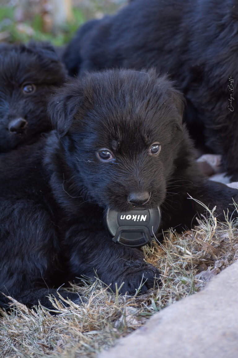 DSC_3751-Mejorado-NR