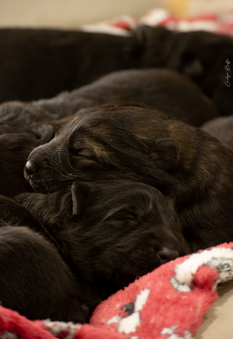 DSC_3757-Mejorado-NR