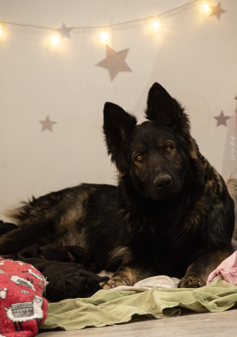 DSC_3789-Mejorado-NR