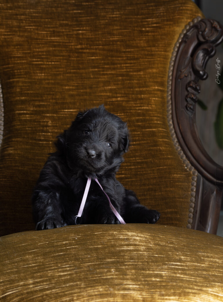 DSC_3966-Mejorado-NR