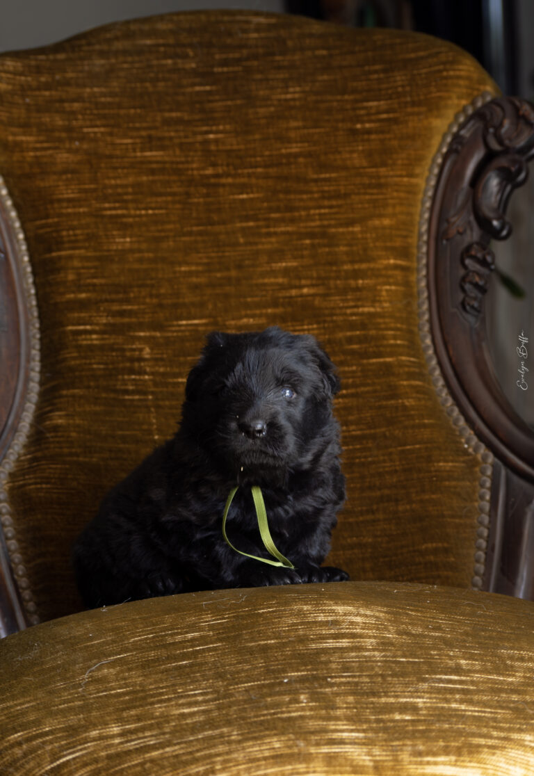 DSC_3982-Mejorado-NR