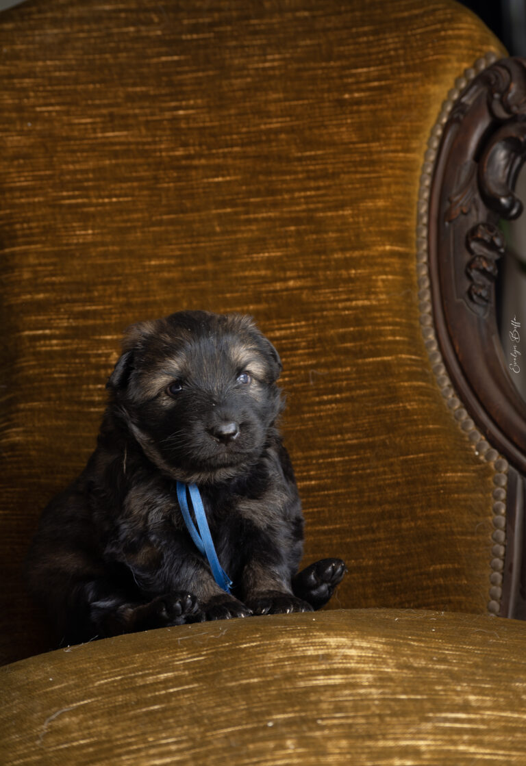 DSC_3985-Mejorado-NR