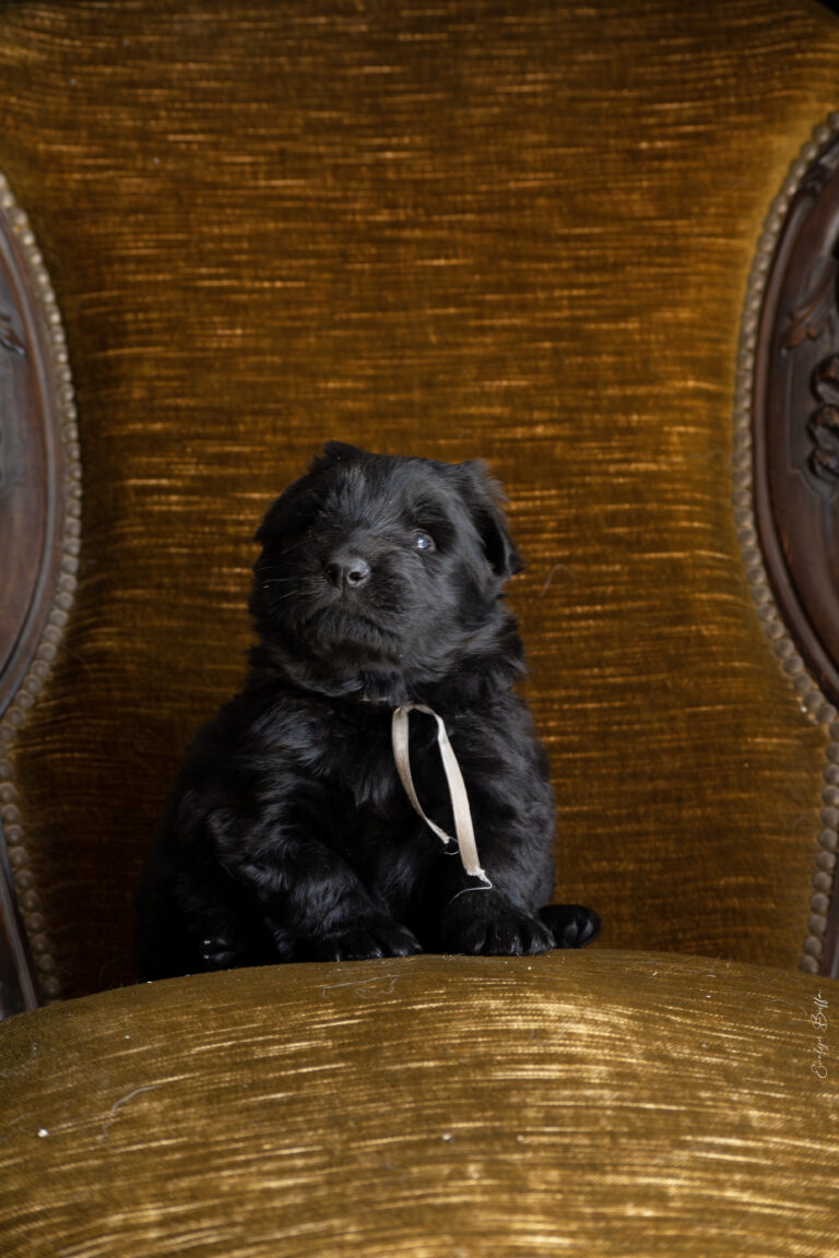 DSC_3993-Mejorado-NR