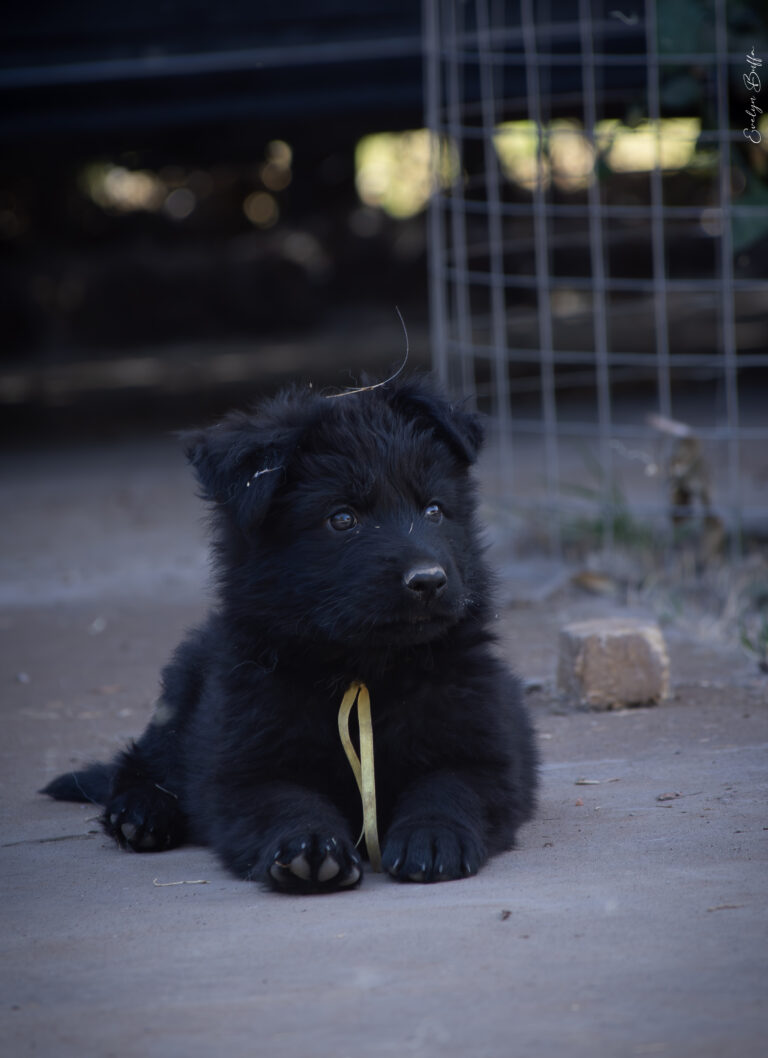 DSC_4027-Mejorado-NR