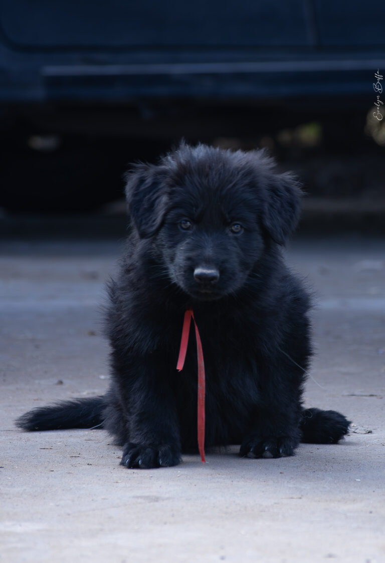 DSC_4083-Mejorado-NR