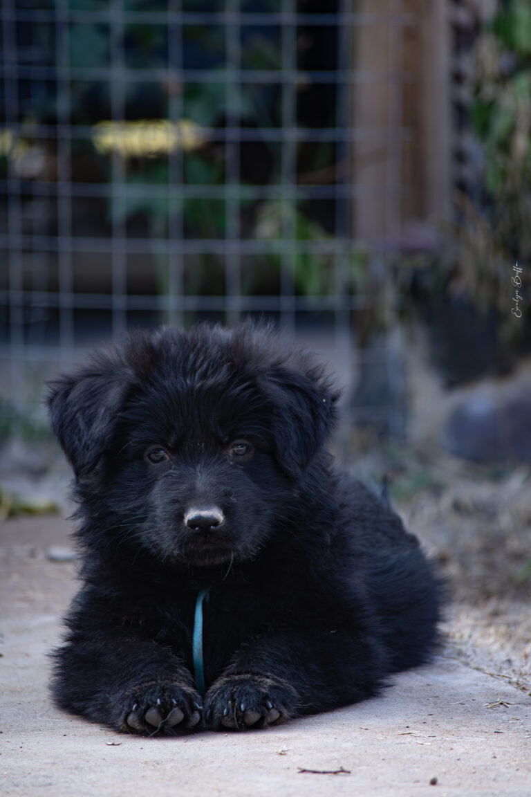 DSC_4098-Mejorado-NR