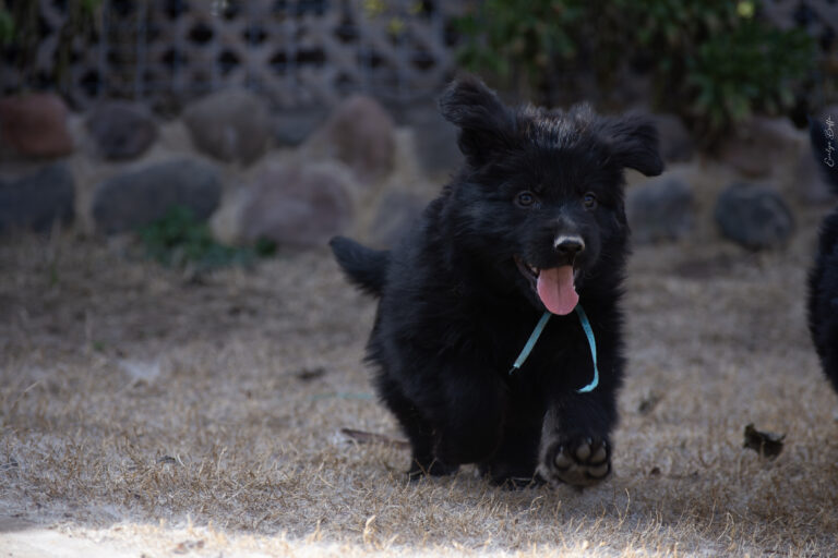 DSC_4124-Mejorado-NR