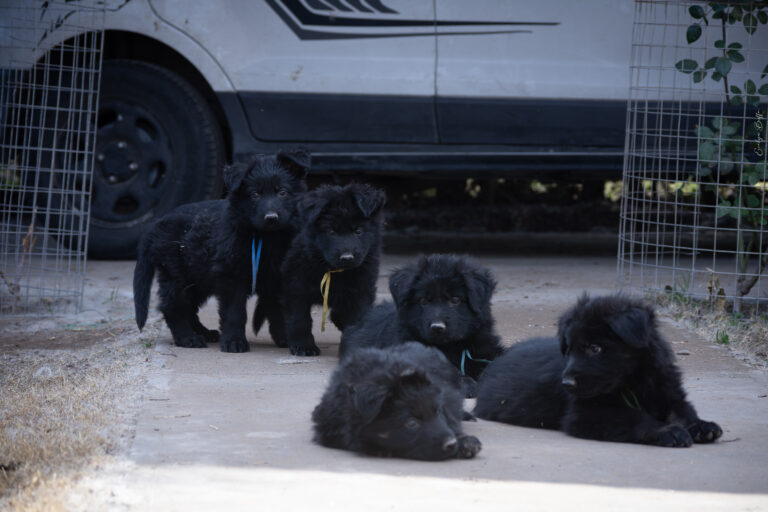 DSC_4157-Mejorado-NR