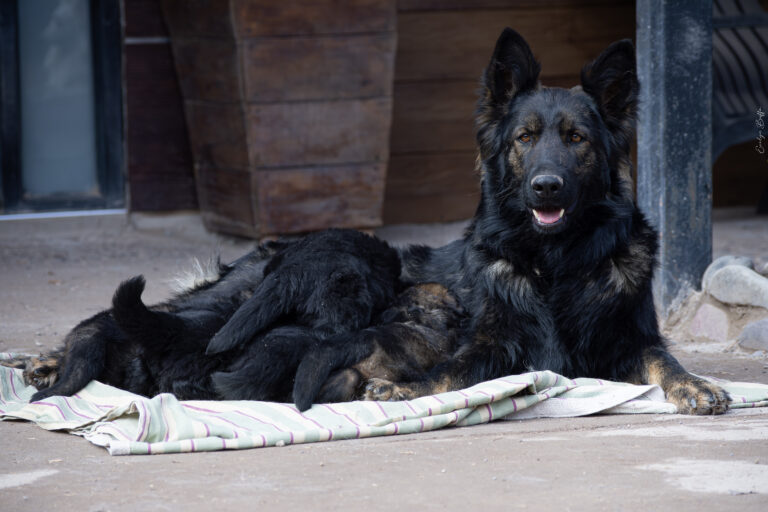 DSC_4191-Mejorado-NR