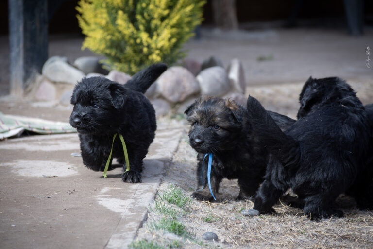 DSC_4202-Mejorado-NR