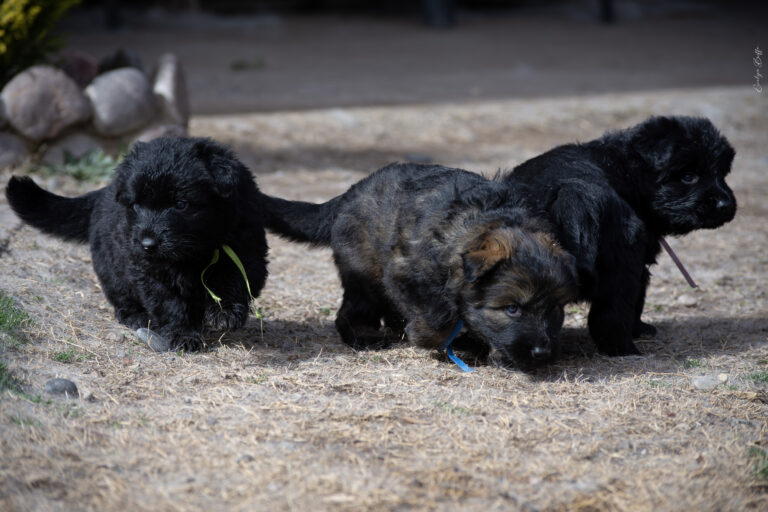 DSC_4210-Mejorado-NR
