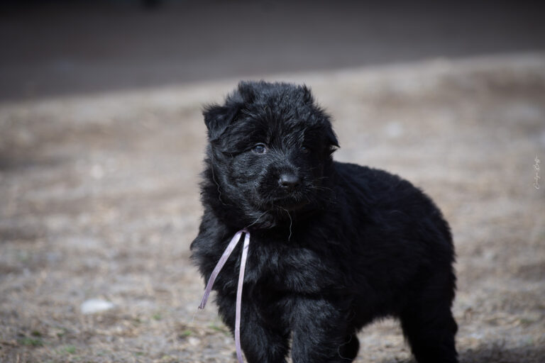 DSC_4212-Mejorado-NR