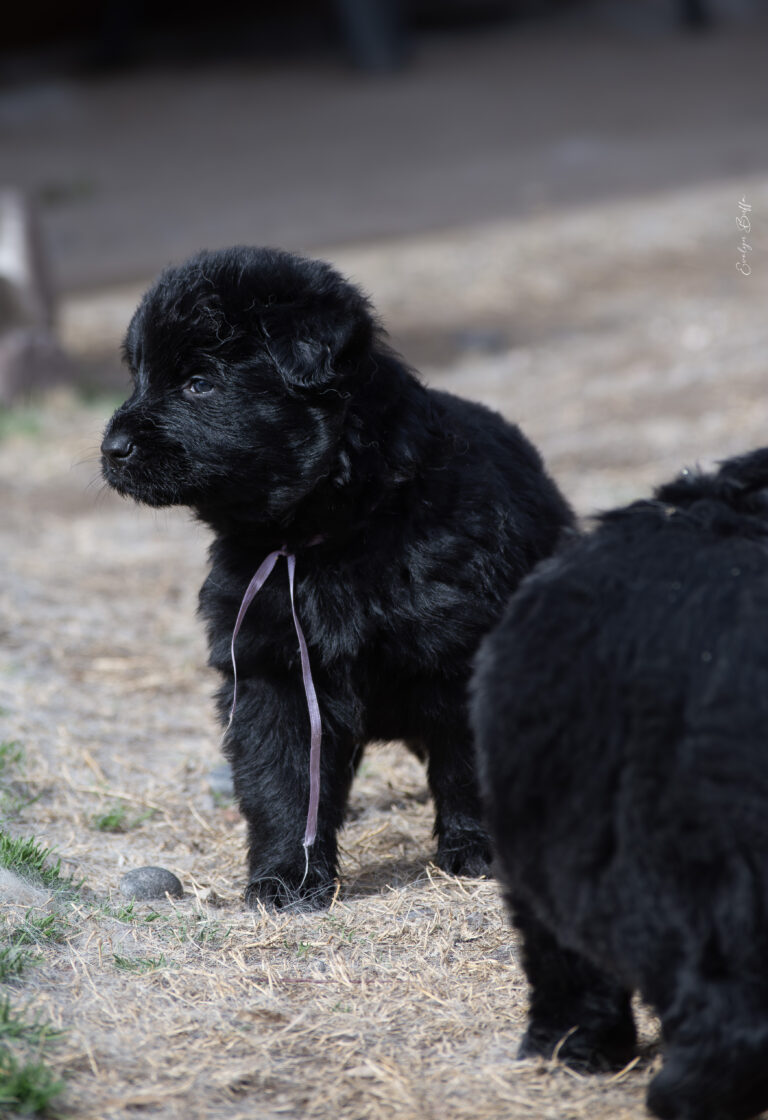 DSC_4216-Mejorado-NR