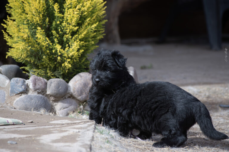 DSC_4218-Mejorado-NR