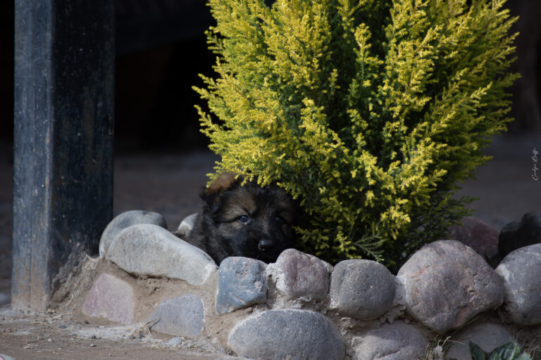 DSC_4220-Mejorado-NR