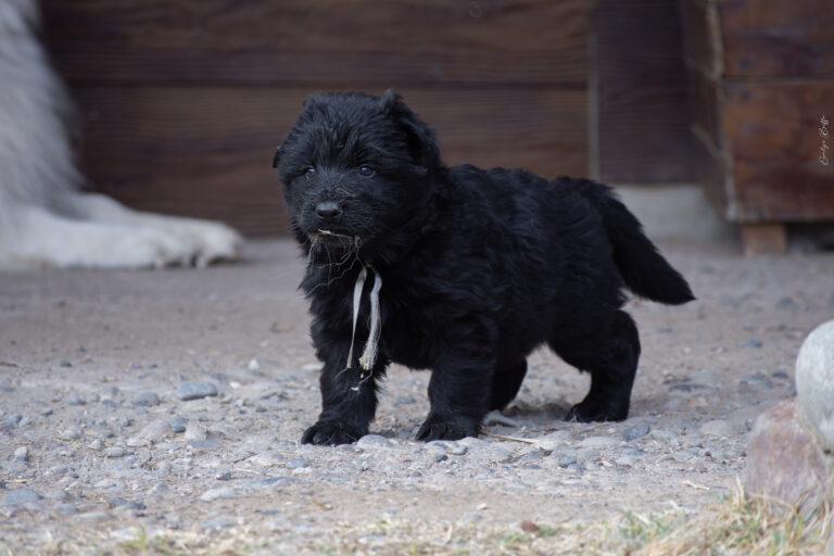 DSC_4234-Mejorado-NR