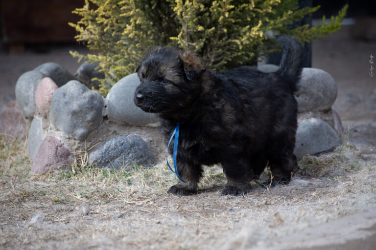 DSC_4243-Mejorado-NR