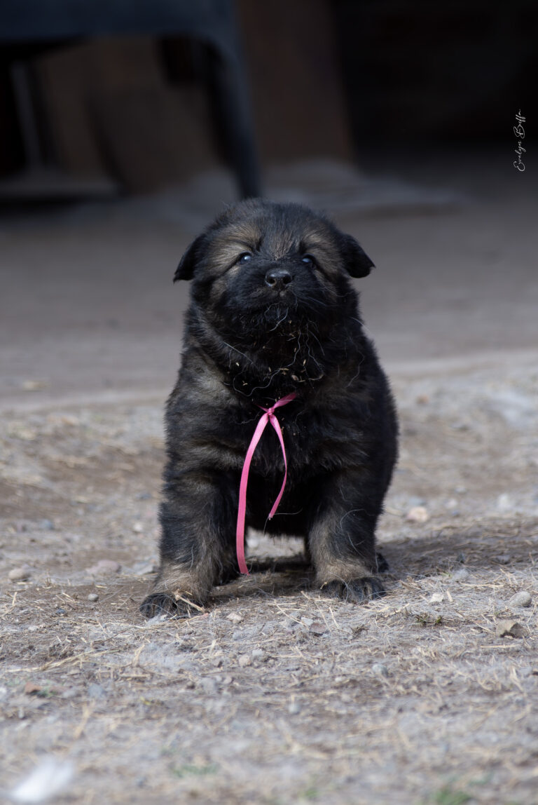 DSC_4244-Mejorado-NR
