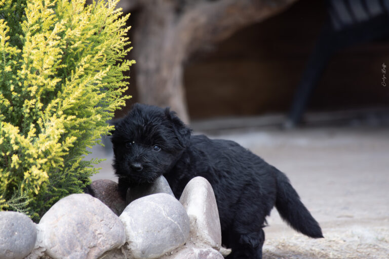 DSC_4245-Mejorado-NR