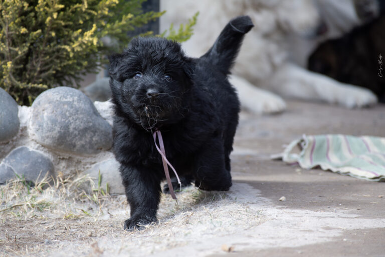 DSC_4246-Mejorado-NR