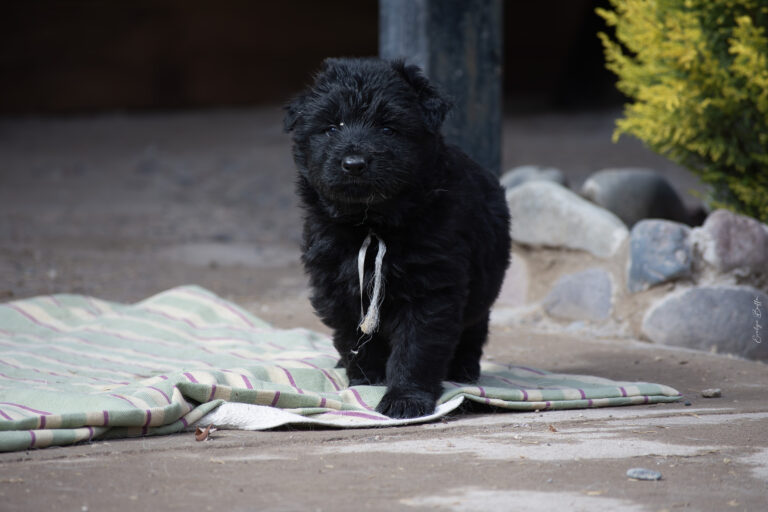 DSC_4248-Mejorado-NR