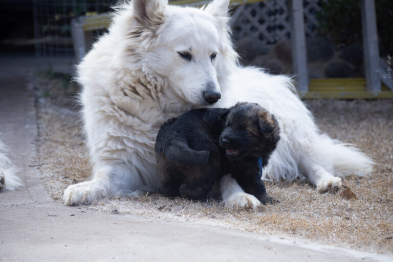 DSC_4252-Mejorado-NR