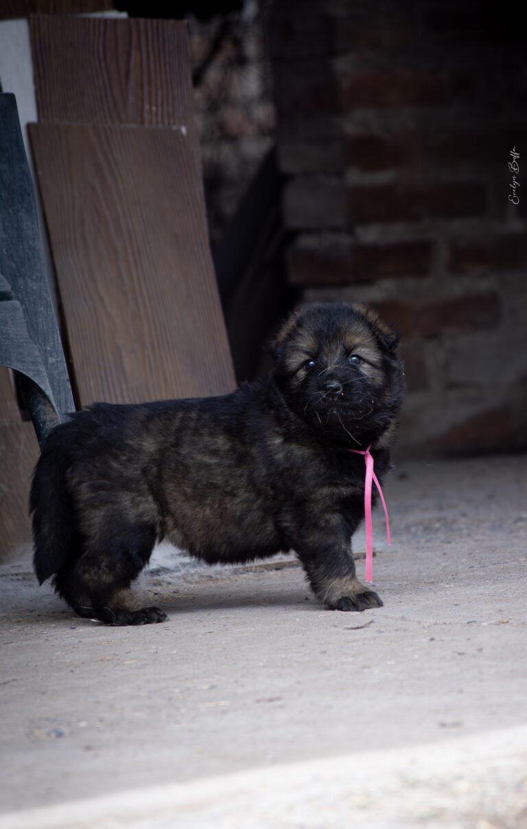 DSC_4254-Mejorado-NR