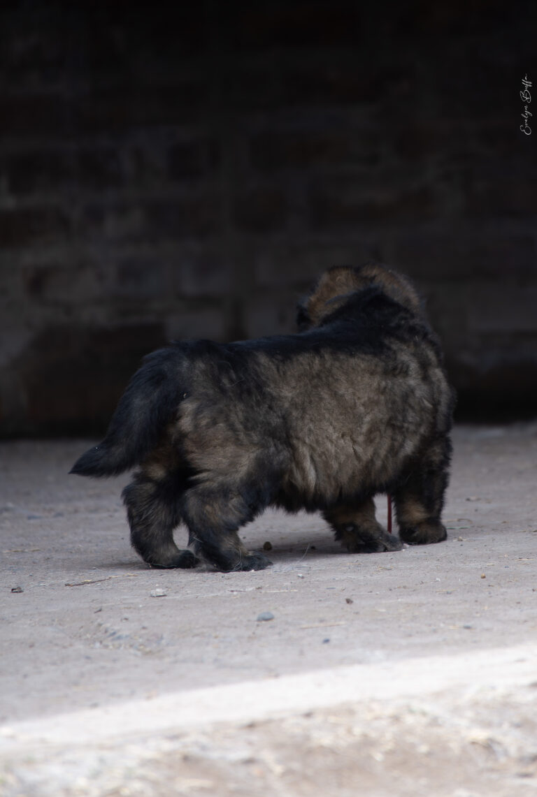 DSC_4255-Mejorado-NR