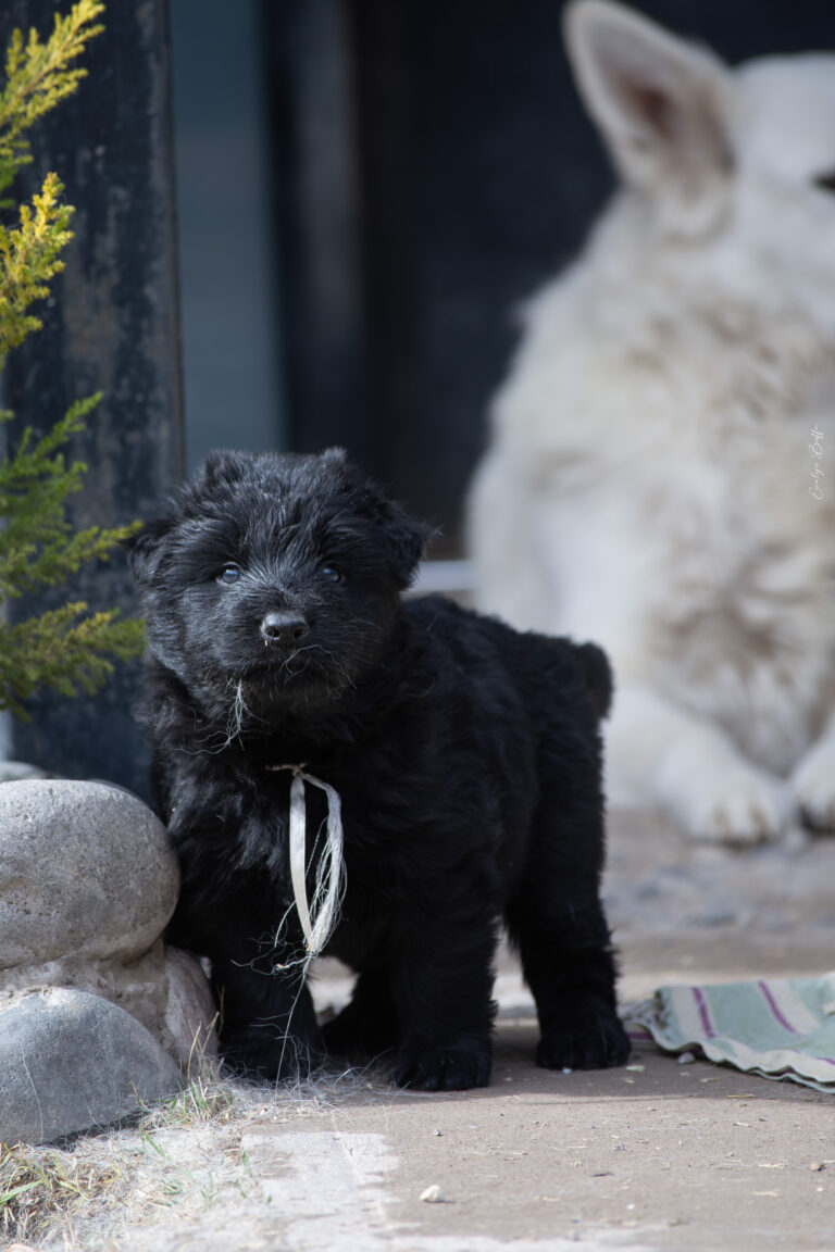 DSC_4260-Mejorado-NR