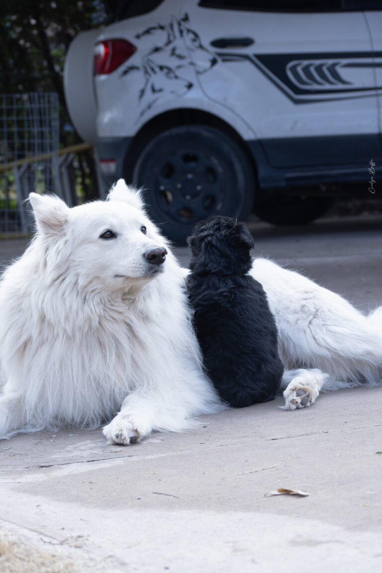 DSC_4277-Mejorado-NR