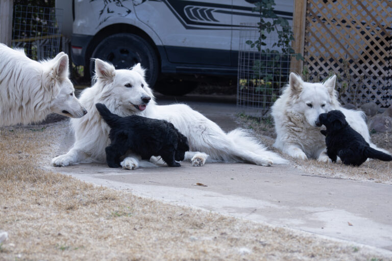 DSC_4282-Mejorado-NR