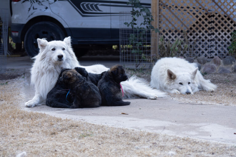 DSC_4292-Mejorado-NR